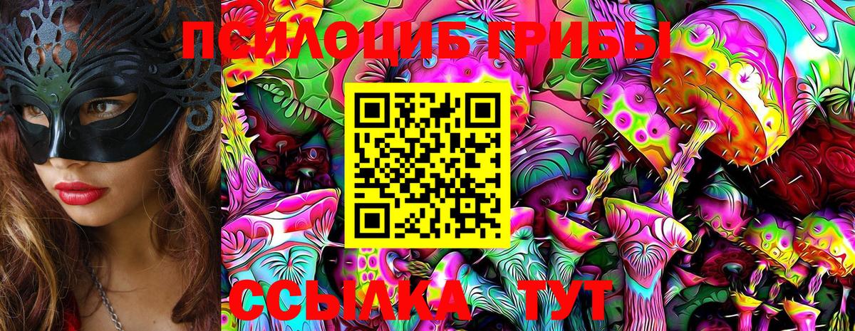 как найти закладки  Псилоцибиновые грибы мицелий  Вход с VPN  Юрга  Галлюциногенные грибы Psilocybe 